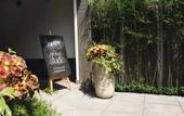Туры в отель Sen Boutique House
