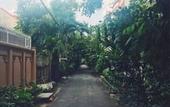 Туры в отель Sen Boutique House