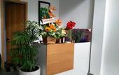 Туры в отель Sen Boutique House