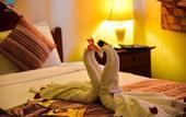 Туры в отель Tran Chau Beach & Resort
