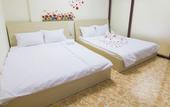 Туры в отель Dream Box Hostel