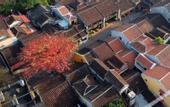 Туры в отель Hoian Royal Villa