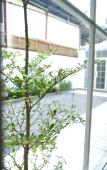 Туры в отель Express by M Village 47 Th?o Di?n, a brand of Modern Village Lifestyle