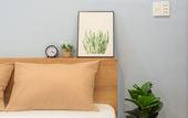 Туры в отель Cozrum Homes - Graceful Corner