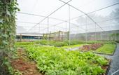 Туры в отель Greenfield Farmstay