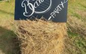 Туры в отель Greenfield Farmstay