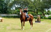 Туры в отель Greenfield Farmstay
