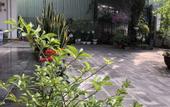 Туры в отель Phuong's house