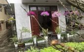 Туры в отель Phuong's house