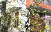 Туры в отель Phuong's house