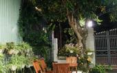 Туры в отель Phuong's house