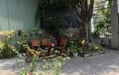 Туры в отель Phuong's house