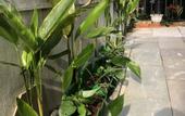 Туры в отель Phuong's house