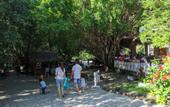 Туры в отель Minh  Hai  Resort
