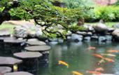 Туры в отель Minh  Hai  Resort