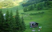 Туры в отель 3 Amis