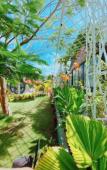 Туры в отель SIMPLE CAMP VUNG TAU HOMESTAY
