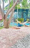 Туры в отель SIMPLE CAMP VUNG TAU HOMESTAY