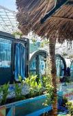 Туры в отель SIMPLE CAMP VUNG TAU HOMESTAY