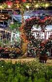 Туры в отель Sala Ho Tram Homestay & Villa