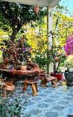 Туры в отель Sala Ho Tram Homestay & Villa