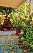 Туры в отель Sala Ho Tram Homestay & Villa