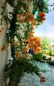 Туры в отель Sala Ho Tram Homestay & Villa