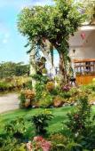 Туры в отель Sala Ho Tram Homestay & Villa