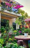 Туры в отель Sala Ho Tram Homestay & Villa