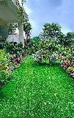Туры в отель Sala Ho Tram Homestay & Villa