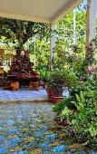 Туры в отель Sala Ho Tram Homestay & Villa