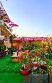 Туры в отель Sala Ho Tram Homestay & Villa