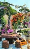 Туры в отель Sala Ho Tram Homestay & Villa
