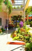 Туры в отель Sala Ho Tram Homestay & Villa