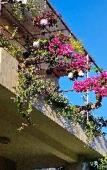 Туры в отель Sala Ho Tram Homestay & Villa