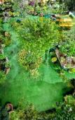 Туры в отель Sala Ho Tram Homestay & Villa
