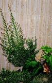 Туры в отель Sala Ho Tram Homestay & Villa