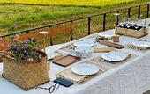 Туры в отель Field Villa