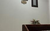 Туры в отель Tom's Homestay