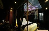 Туры в отель Ngan Le Mot Dem Hotel