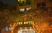 Туры в отель Hotel 239