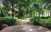 Туры в отель GEM EMERALD - Celadon City Tan Phu