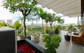 Туры в отель Nexus House Lang Bao Chi