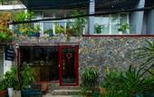 Туры в отель Nexus House Lang Bao Chi
