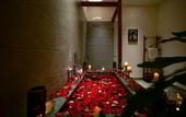 Туры в отель Nexus House Lang Bao Chi