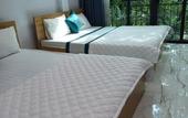 Туры в отель Hotel Hoa Ban Ha N?i