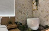 Туры в отель Ch?m's Hotel & Homestay