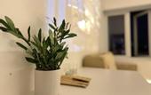 Туры в отель Ch?m's Hotel & Homestay