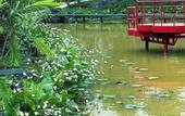 Туры в отель San Signature - Suoi Ngoc Retreat