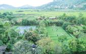 Туры в отель San Signature - Suoi Ngoc Retreat